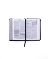 Santa Biblia de Promesas Reina Valera 1960, Compacta Piel Especial Negro (Compact Promise Bible, Black)