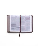 Santa Biblia de Promesas Reina Valera 1960, Compacta Piel Especial Marron (Compact Promise Bible, Brown)