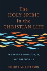 The Holy Spirit in the Christian Life: The SpiritÂs Work for, in, and through Us