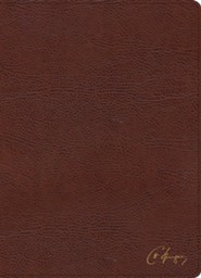 Bonded Leather Brown Book