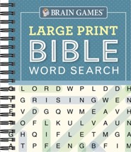 Large Print Bible Word Search