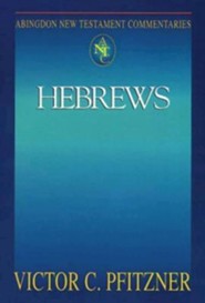 Hebrews: Abingdon New Testament Commentaries [ANTC]
