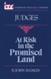 Judges: At Risk in the Promised Land (International Theological Commentary)