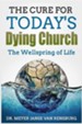 The Cure for Today's Dying Church: The Wellspring of Life