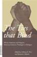 Ties That Bind: African American and Hispanic American/Latino/A Theologies in Dialogue