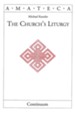 The Church's Liturgy (Handbooks of Catholic Theology)