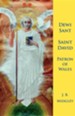 Dewi Sant: St David Patron of Wales