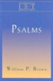 The Psalms: Interpreting Biblical Texts Series