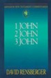 1, 2, & 3 John: Abingdon New Testament Commentaries [ANTC]