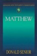 Matthew: Abington New Testament Commentaries [ANTC]