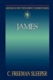 James: Abingdon New Testament Commentaries [ANTC]