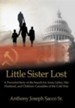 Little Sister Lost: A Powerful Story of the Search for Anna Lieber, Her Husband, and Children: Casualties of the Cold War