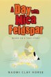 A Day with Mica Feldspar: Based on a True Story