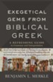 Exegetical Gems from Biblical Greek