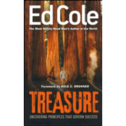 Treasure: Uncovering Principles That Govern Success [Book]