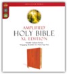 Amplified Holy Bible, XL Edition--soft leather-look, brown - Slightly Imperfect