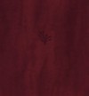 Amplified Holy Bible, XL Edition--soft leather-look, burgundy