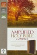 Amplified Compact Holy Bible--soft leather-look, camel/burgundy