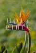 NRSV Catholic Edition Bible, Bird of Paradise--hardcover