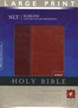 NLT Slimline Reference Bible, Large Print TuTone Leatherlike  Brown/Tan, Thumb-Indexed