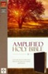 Amplified Holy Bible--bonded leather, burgundy (indexed)