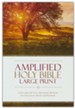Amplified Large-Print Bible, hardcover  - Imperfectly Imprinted Bibles