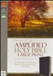 Amplified Large-Print Bible--bonded leather, burgundy