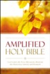 Amplified Outreach Bible, Paperback, Case of 24