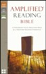 Amplified Reading Bible, Imitation Leather, Brown