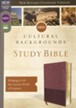 NRSV, Cultural Backgrounds Study Bible, Leathersoft, Burgundy, Comfort Print
