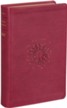 NLT Personal-Size Giant-Print Bible, Filament Enabled Edition--soft leather-look, aurora cranberry
