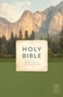 NLT Holy Bible, Economy Outreach Edition-Softcover, Case of  36