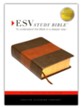 ESV Study Bible, TruTone, Forest/Tan Trail Design