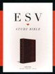 ESV Study Bible, Large Print, TruTone, Mahogany with Trellis Design