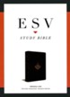 ESV Personal-Size Study Bible--soft leather-look, burgundy with branch design