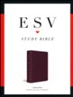 ESV Large-Print Study Bible--bonded leather, burgundy