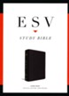 ESV Study Bible, Large Print (Buffalo Leather, Deep Brown)