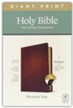 NLT Giant-Print Personal-Size Bible, Filament Enabled Edition--genuine leather, brown (indexed)