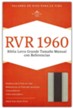 Biblia RVR 1960 Letra Gde. Tam. Manual Ref., Piel Imit. Gris/Carb.   (RVR 1960 Hand-Size Gt. Print Ref. Bible, Imit.Leather Gray)