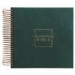 CSB Illustrating Bible--faux-leather, green