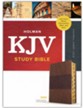 KJV Study Bible, Full-Color--soft leather-look, saddle brown (indexed)