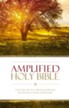 Amplified Holy Bible: Captures the Full Meaning Behind the Original Greek and Hebrew - eBook