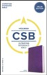 CSB Ultrathin Reference Bible, Purple LeatherTouch Value Edition