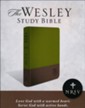 NRSV Wesley Study Bible: Sage Thicket Decotone, imitation leather