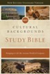 NRSV, Cultural Backgrounds Study Bible, eBook: Bringing to Life the Ancient World of Scripture - eBook