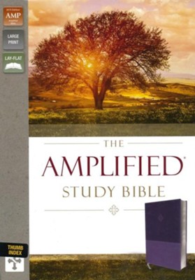 Amplified Study Bible--soft leather-look, purple (indexed)  - 