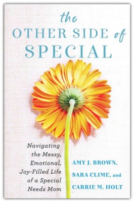 The Other Side of Special: Navigating the Messy, Emotional, Joy-Filled Life of a Special Needs Mom  -     By: Amy J. Brown, Sara Clime, Carrie M. Holt
