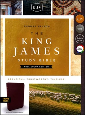 KJV Study Bible Full-Color Edition, Bonded Leather, Burgundy, Indexed  - 