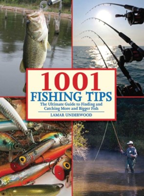 How to Bass Fish Ebook - Free Guide on Bass Fishing