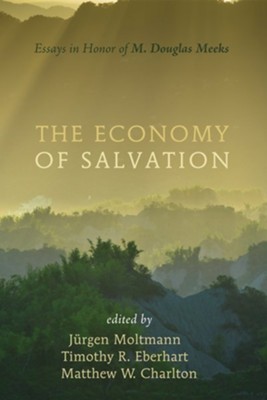 The Economy of Salvation: Essays in Honor of M. Douglas Meeks - eBook  -     Edited By: Jurgen Moltmann, Timothy Reinhold Eberhart
